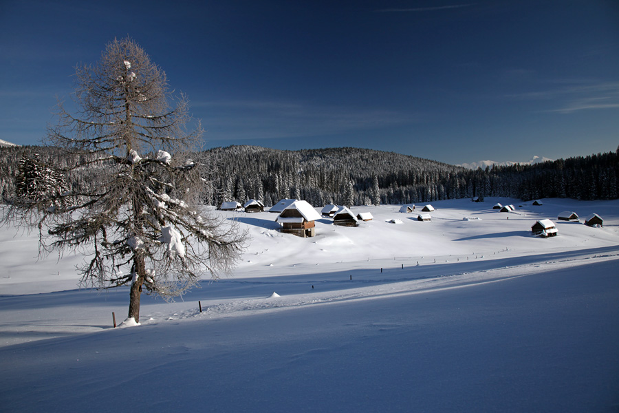 Planina Zajavornik VIII.
Posnetek z zahoda. Obronki gozdov okrog planine, zjutraj rišejo dolge sence po planini.
Ključne besede: planina zajavornik