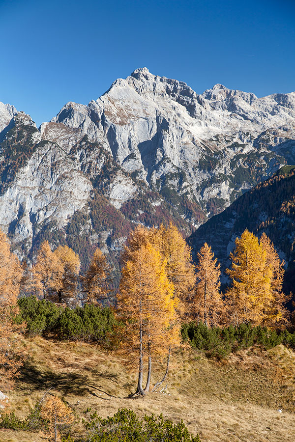 Pod Čistim vrhom
Proti Razorju.
Ključne besede: čisti vrh razor