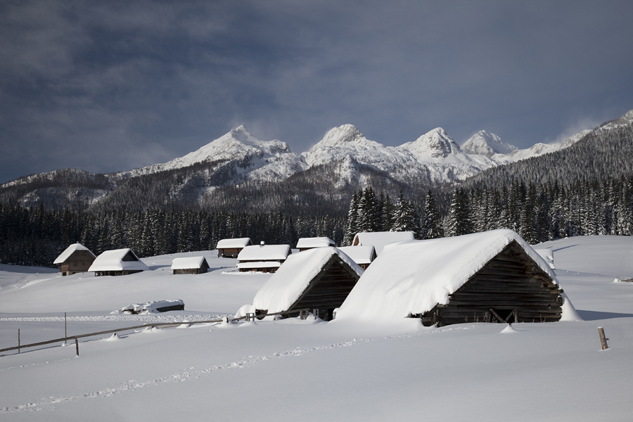 Planina Zajavornik XV.
Planina Zajavornik.
Ključne besede: planina zajavornik viševnik mali draški vrh veliki selišnik triglav