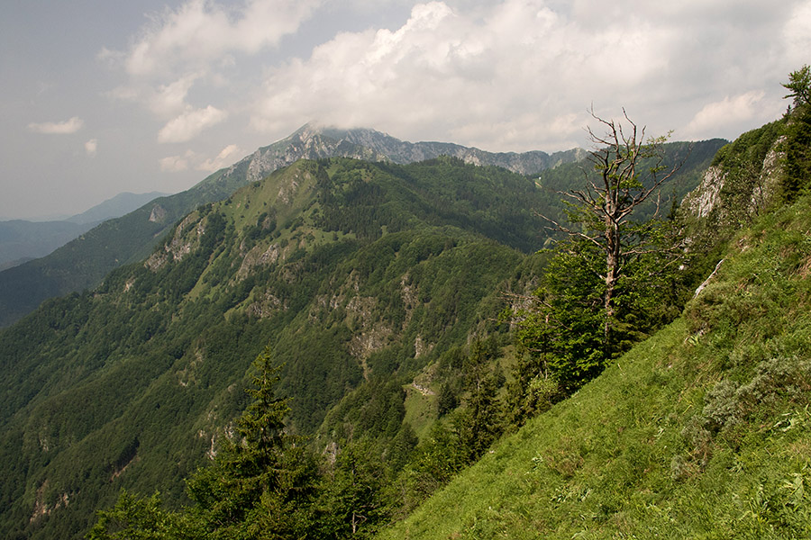 Nad Baškim sedlom
Črna prst in Kobla.
Ključne besede: baško sedlo kobla črna prst