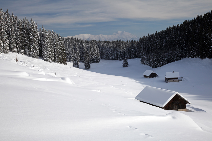 Planina Kranjska dolina
Planina kranjska dolina. Zadaj se v daljavi dviga Stol.
Ključne besede: planina kranjska dolina stol