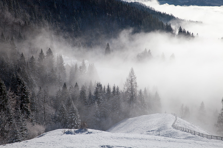Podjelje
Podjelje.
Ključne besede: podjelje bohinj krniški lom