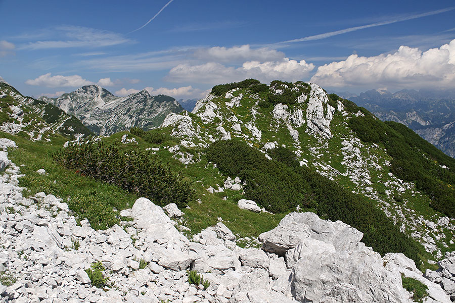 Z Vogla
S poti na Vogel.
Ključne besede: vogel