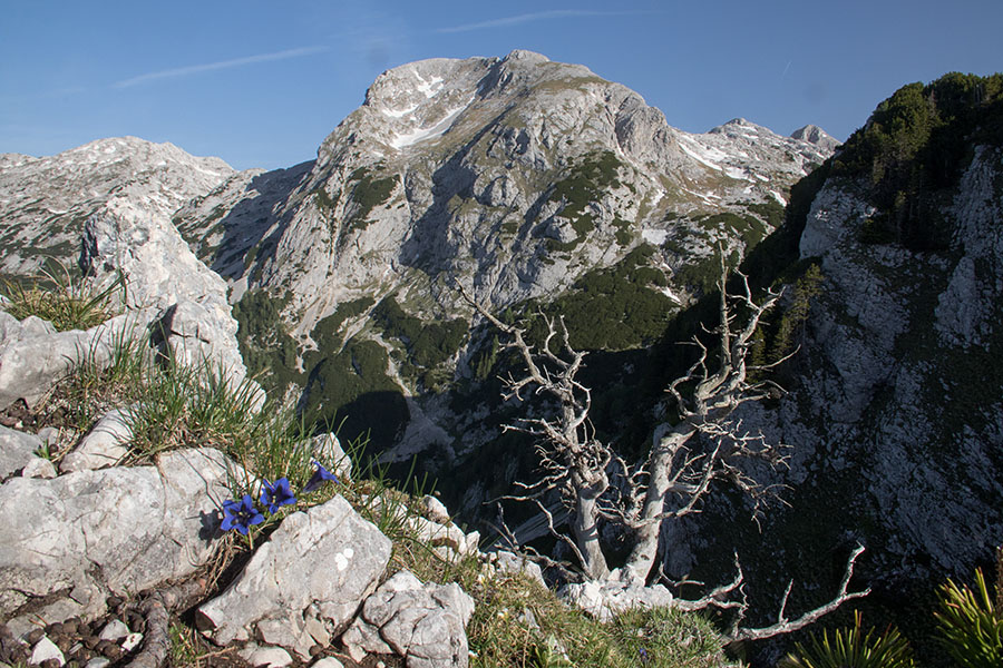 Debeli vrh
Debeli vrh z Ogradov.
Ključne besede: ogradi debeli vrh