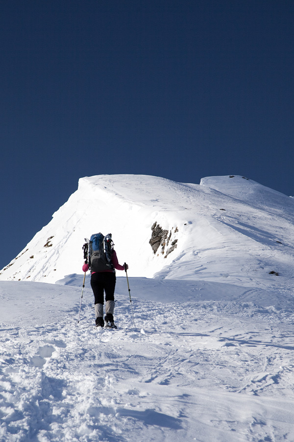 Po vrhovih nad Soriško planino II.
Pristop z Lajnarja na Slatnik.
Ključne besede: soriška planina lajnar slatnik