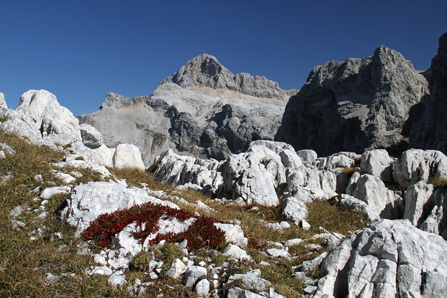 Najvišji sosed
Triglav z Vodnikovega Vršaca.
Ključne besede: zadnjiški vodnikov vršac triglav