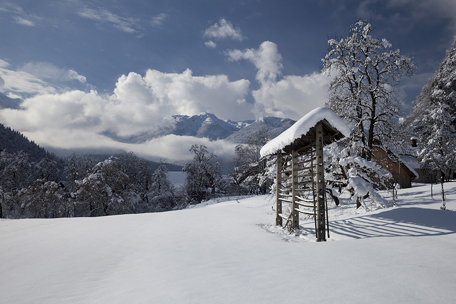 Pri Studorju
Med Srednjo vasjo in Studorjem.
Ključne besede: bohinj zgornja bohinjska dolina srednja vas studor