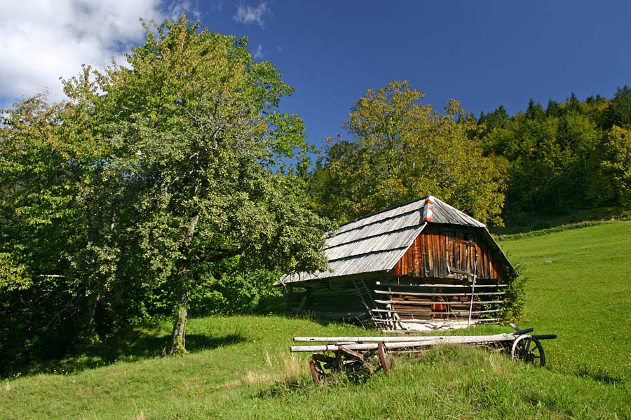 Zadnja postaja
Stan s starim vozom na Krniškem Lomu.
Ključne besede: krniški lom bohinj