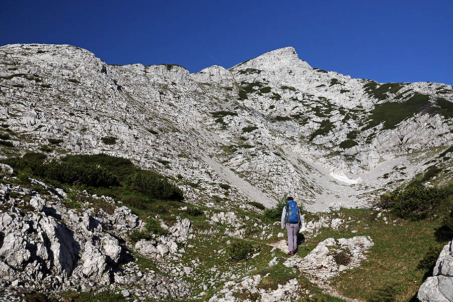 Na Veliki Draški vrh
Na Veliki Draški vrh.
Ključne besede: veliki draški vrh