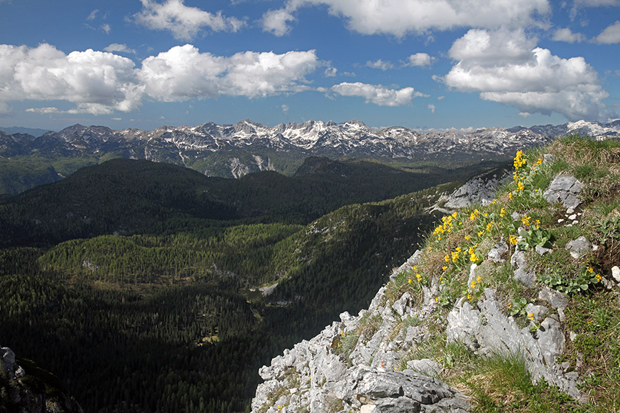 Z Ogradov
Pogled proti jugu. Bohinjsko Tolminski greben.
Ključne besede: ogradi bohinjsko tolminski greben