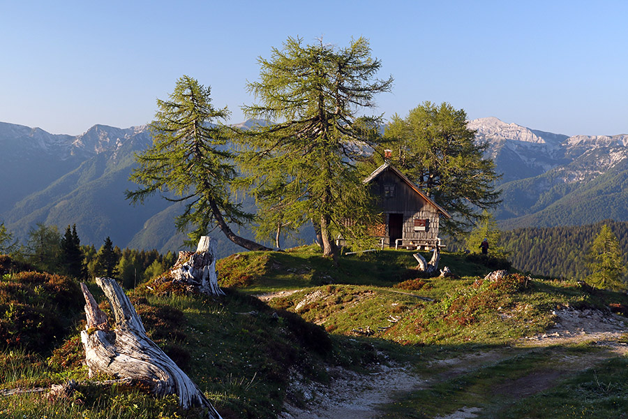 Planina Krstenica
S planine Blato sva na Krstenico prišla direktno po lovski varianti.
Ključne besede: planina krstenica