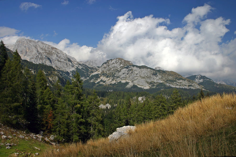 Debeli vrh z Ogradi
Debeli vrh in Ogradi v že bolj jesenskih barvah. Posnetek s planine Viševnik.
Ključne besede: debeli vrh ogradi planina viševnik