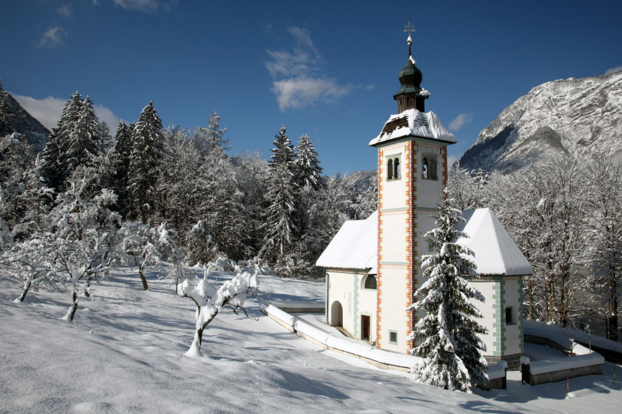 Sv. duh II.
Cervica sv. duha.
Ključne besede: bohinj bohinjsko jezero sv duh