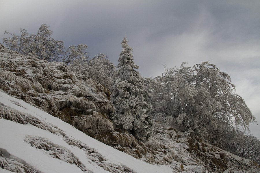 Šavnik IV.
Pod vrhom Šavnika.
Ključne besede: planina za šavnikom šavnik