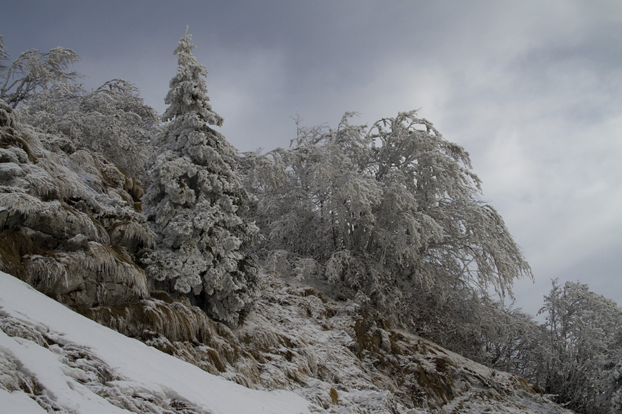 Šavnik III.
Kar naenkrat so se pripodili oblaki.
Ključne besede: planina za šavnikom šavnik
