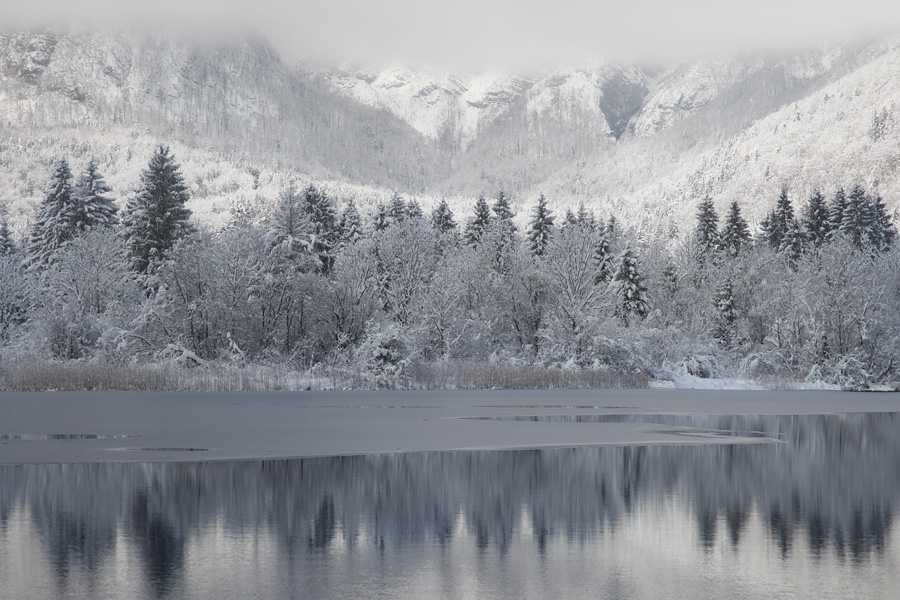 Bohinjsko jezero VI.
Nov sneg in megle. V Ukancu.
Ključne besede: bohinj bohinjsko jezero ukanc