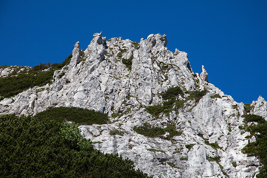S poti v konto Žalostnica
S poti v konto Žalostnica. Skalovje na sliki je del predvrha Konjskega vrha z Bohinjske strani.
Ključne besede: konta žalostnica konjski vrh