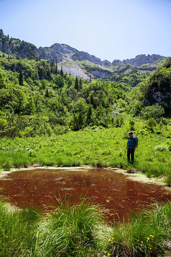 Lokev
Lokev nad planino Osredki.
Ključne besede: planina osredki lokev