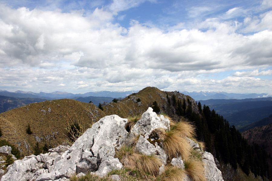 Črna gora
Poti nanjo ni, je pa zanimivo iskati prehode.
Ključne besede: črna gora