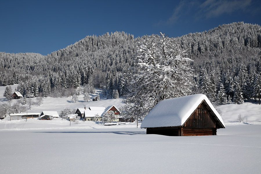 Zima na Gorjušah
Zima v vasi Gorjuše v Bohinju.
Ključne besede: gorjuše bohinj