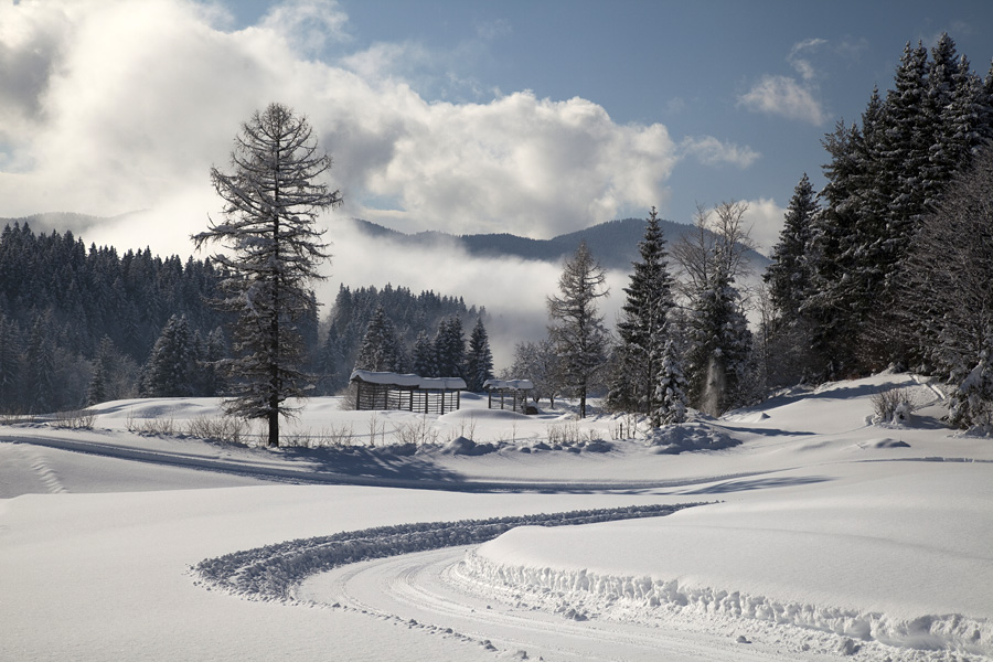 Zima na Gorjušah IX.
Na Spodnjih Gorjušah.
Ključne besede: gorjuše bohinj