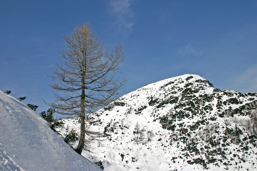 Gradovec
Manj znani vrh nad planino Poljana. Poleti je zaradi ruševja dostop nanj dokaj težak.
Ključne besede: planina poljana gradovec