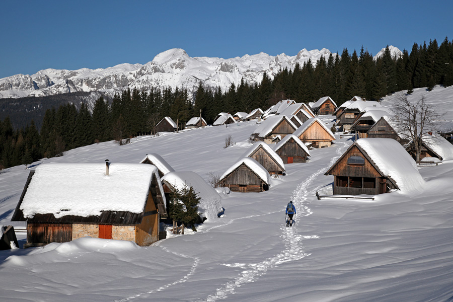 Zajamniki V.
Po planini Zajamniki.
Ključne besede: planina zajamniki