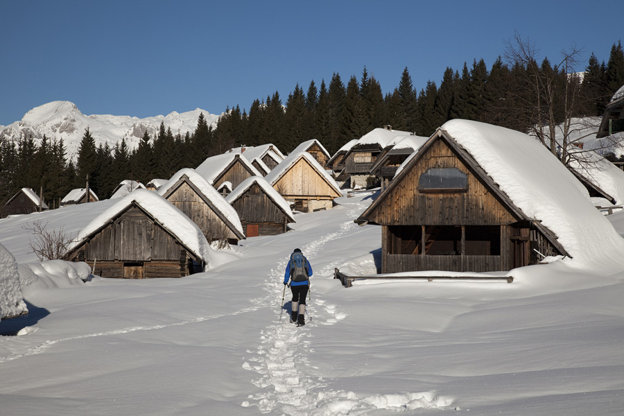 Zajamniki II.
S potepanja po planini Zajamniki.
Ključne besede: planina zajamniki
