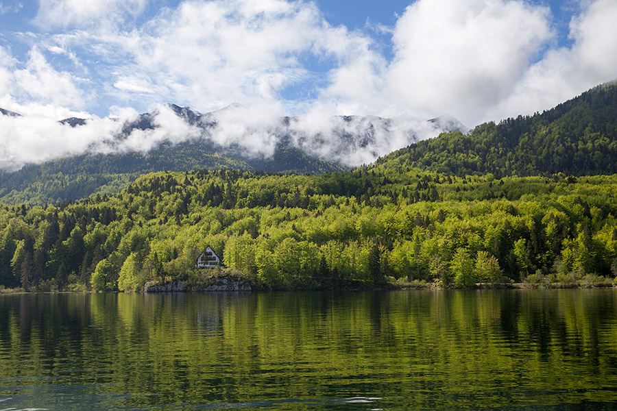 Bohinjsko jezero
Ključne besede: bohinj bohinjsko jezero
