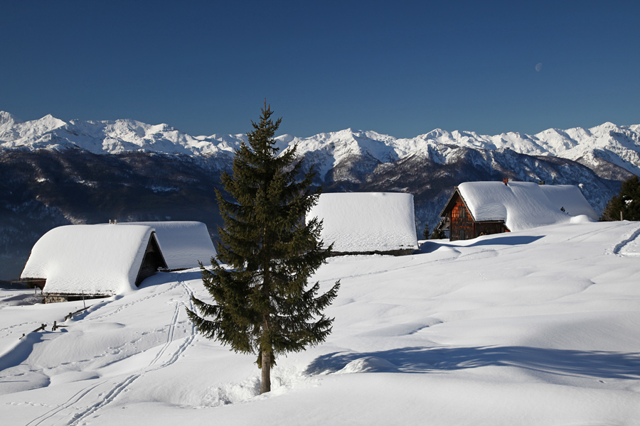 Zajamniki VI.
Utrinek s planine Zajamniki.
Ključne besede: planina zajamniki