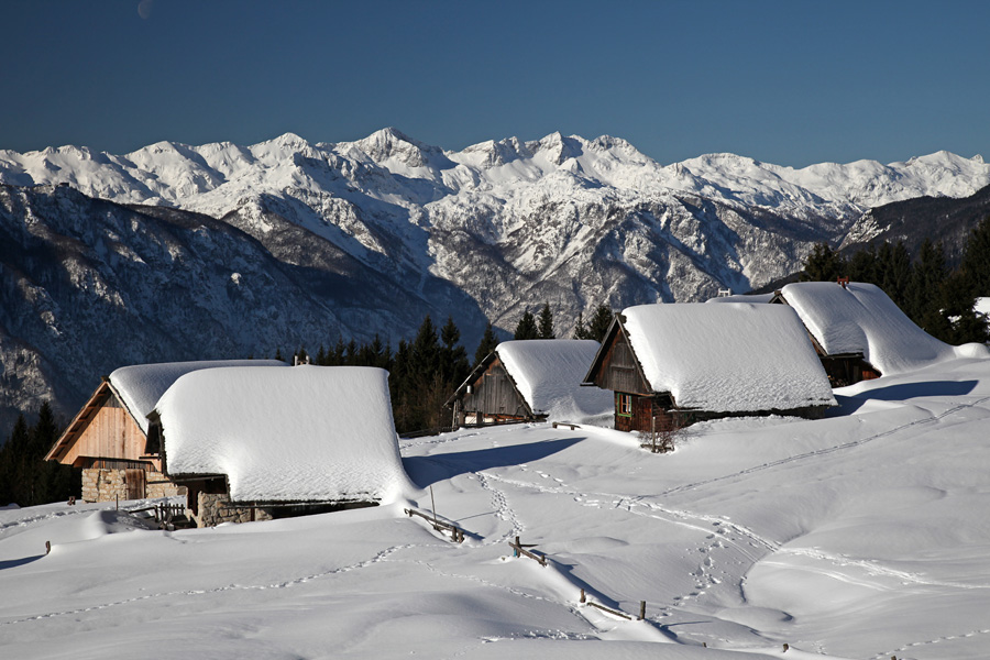 Zajamniki III.
Del stanov na planini Zajamniki in Južne Bohinjske gore.
Ključne besede: planina zajamniki