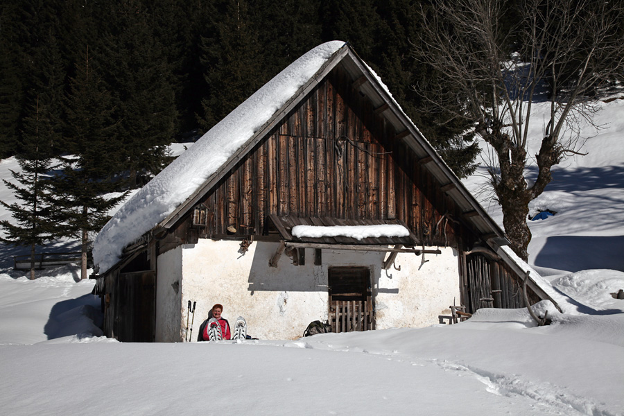 Martinčkanje
Pred odhodom v dolino še martinčkanje na planini Konjska dolina.
Ključne besede: planina konjska dolina