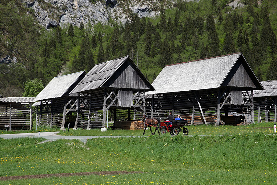 Studor
Ključne besede: bohinj studor