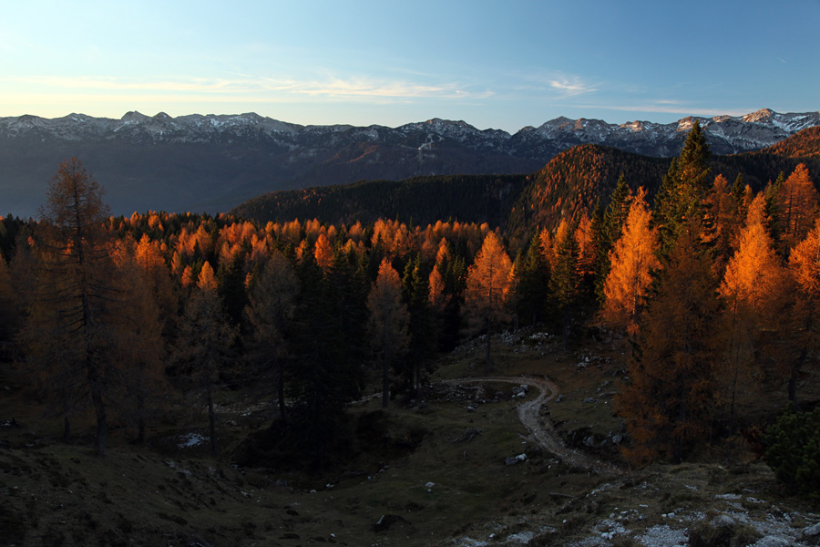 Ko zagorijo macesni II.
Ko sonce obsveti vrhove macesnov. Planina Krstenica.
Ključne besede: planina krstenica