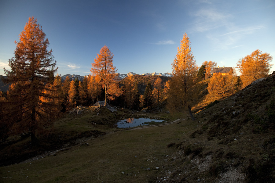 Jutro na Krstenici
Ko se prebuja planina Krstenica.
Ključne besede: planina krstenica
