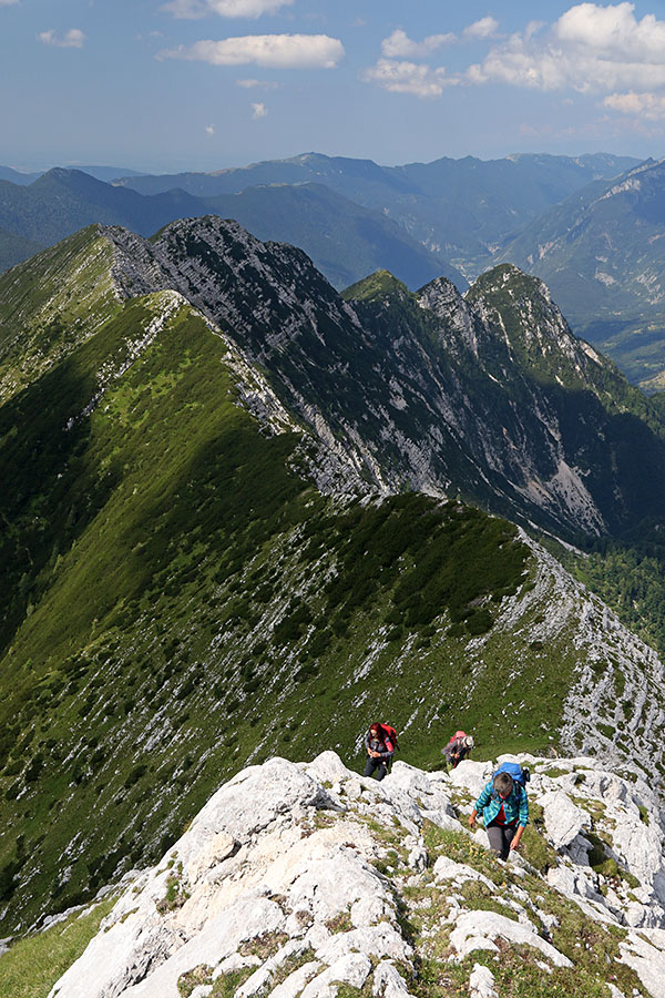 Na Vrh Brda
Vzpon na Vrh Brda. Zadaj je lepo viden greben, ki se vije vse do Svinjaka.
Ključne besede: vrh ruš brda mali grintavec