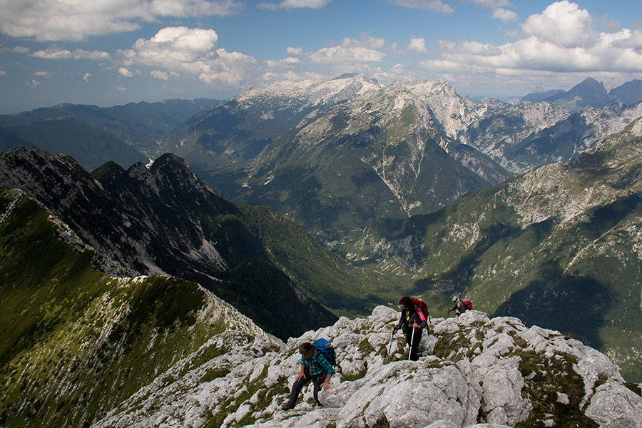 Na Vrh Brda
Med Vrhom Ruš in Vrhom Brda.
Ključne besede: vrh brda mali grintavec ruš