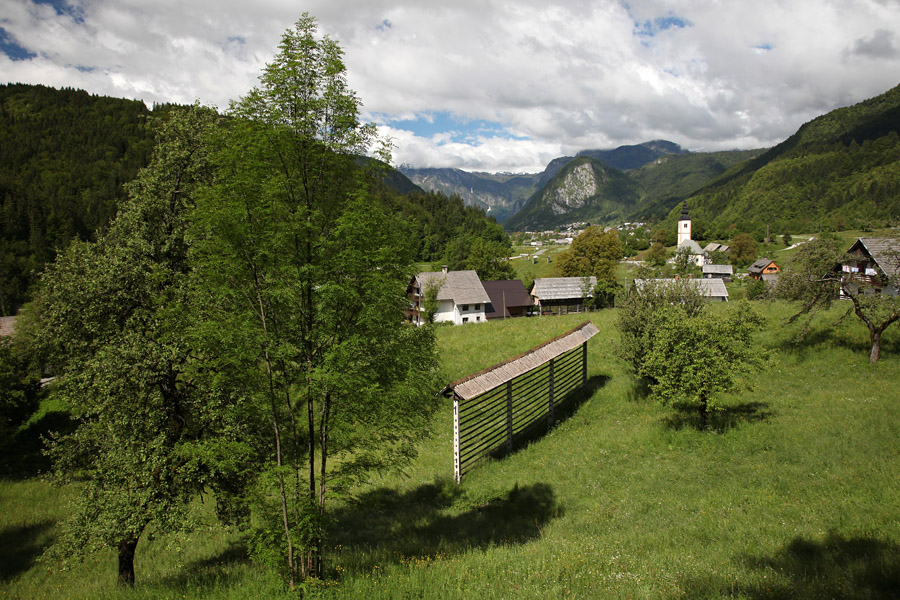Jereka II.
Jereka.
Ključne besede: jereka bohinj