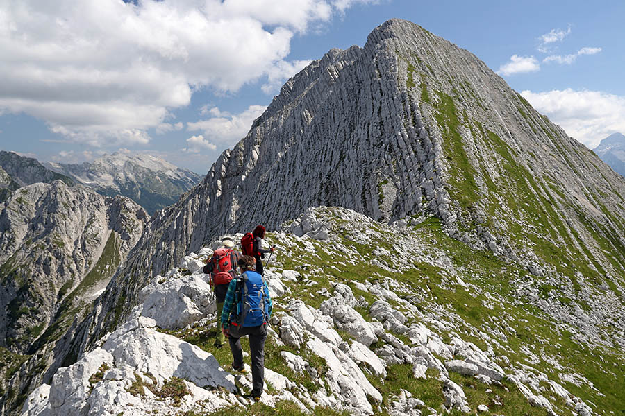 Na Vrh Brda
Grebenska pot na Vrh Brda.
Ključne besede: vrh ruš brda