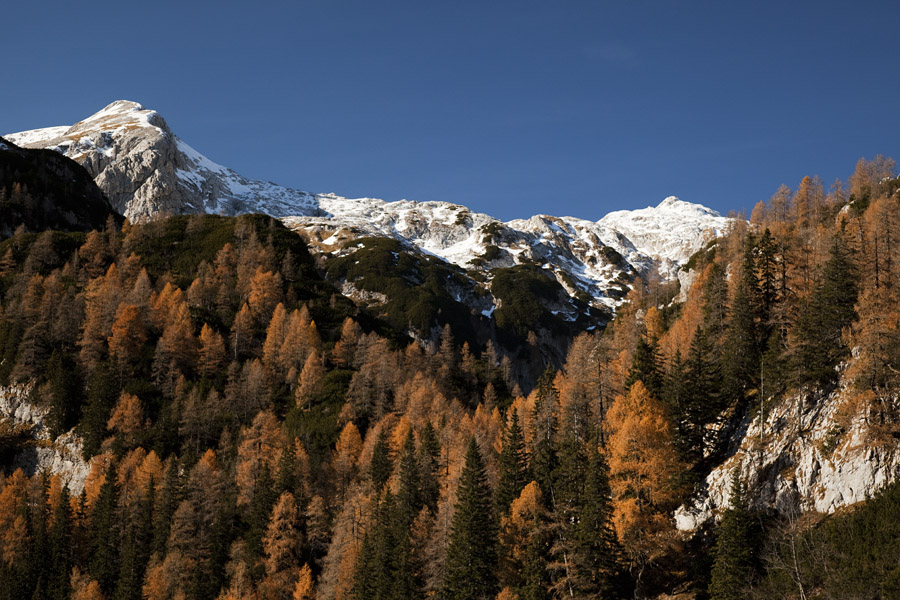Jesen nad planino Jezerca
Še vedno rumeni macesni okrog planine Jezerca in zasnežena Debeli vrh in Vrh Hribaric.
Ključne besede: planina jezerca debeli vrh hribaric