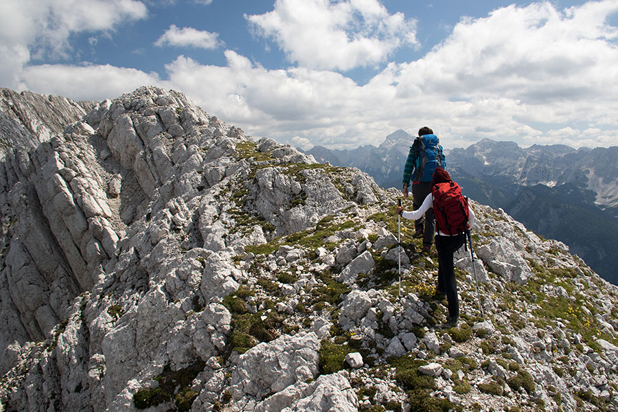 Utrinek
Utrinek s poti na Mali Grintavec.
Ključne besede: Mali brintavec vrh brda