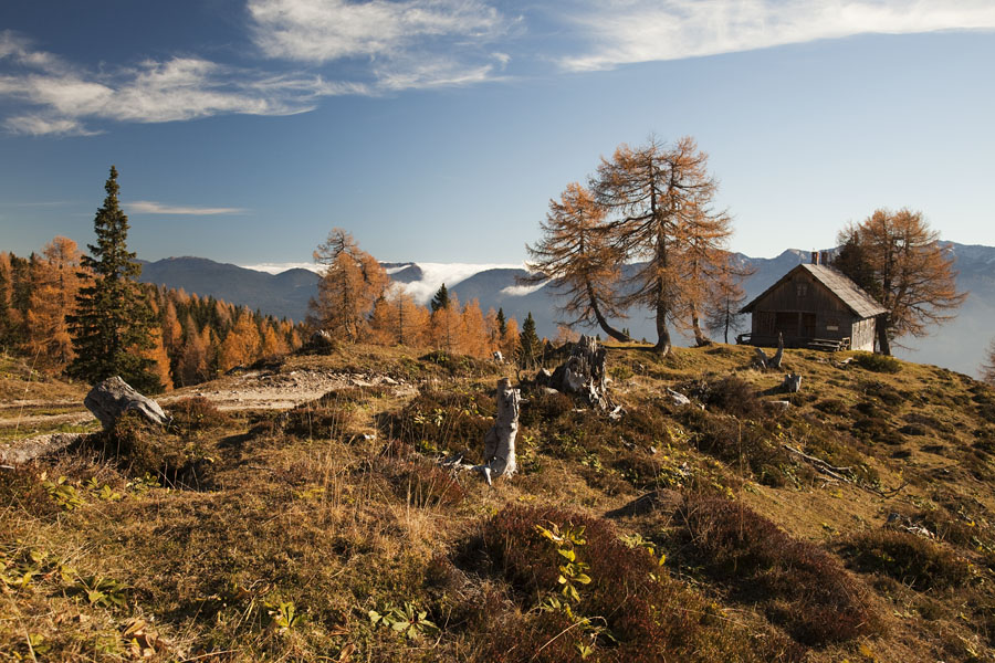 Jesen na Krstenici I.
Jesen na planini Krstenica.
Ključne besede: planina krstenica