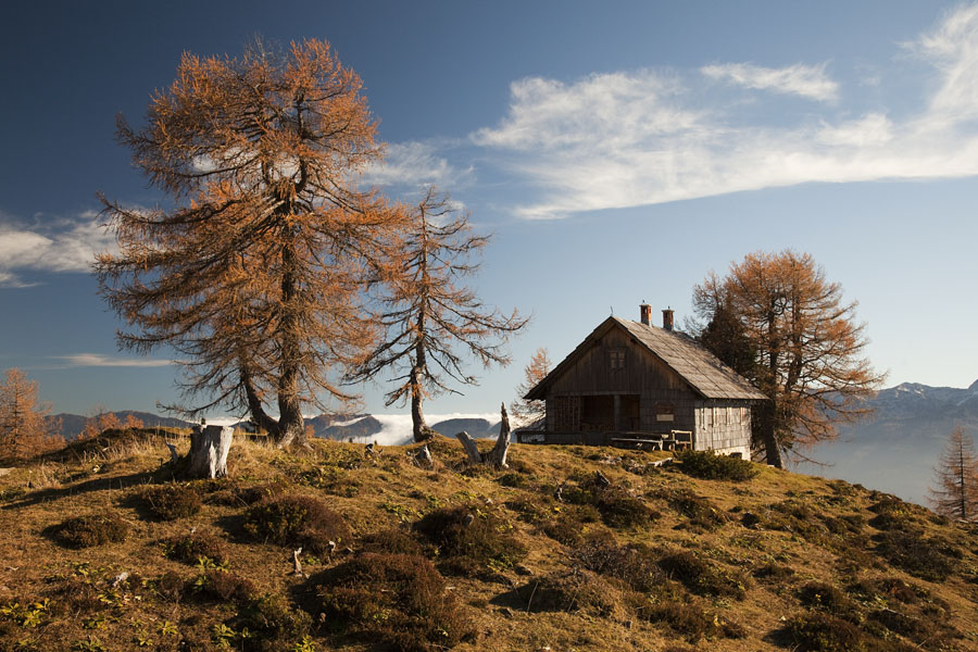 Jesen na Krstenici II.
Jesen na planini Krstenica.
Ključne besede: planina krstenica