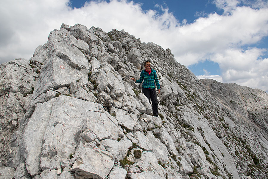 Utrinek
Utrinek izpod vrha Malaga Grintavca (2294m).
Ključne besede: mali grintavec