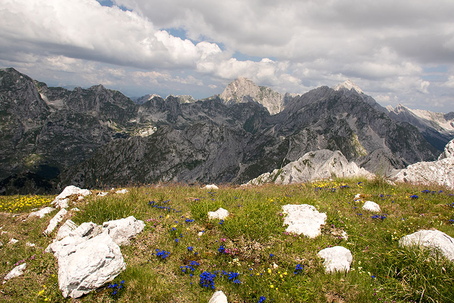 Utrinek
Težko bi naštel vse vrhove, ki se kažejo na grebenu med Vrhom Brda in Malim Grintavcem. Del Loške stene, Mangart, Jalovec, Pelci ...
Ključne besede: vrh brda mali grintavec loška stena mangart jalovec pelci