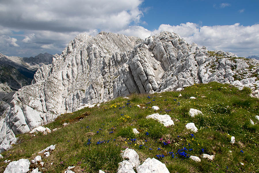 Vrh Brda
Na Vrhu Brda. V ozadju je Mali Grintavec, preko rame pa mu gleda Bavški Grintavec.
Ključne besede: vrh ruš mali grintavec bavški