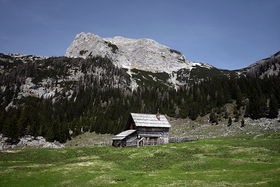 Planina Laz
Planina laz in Debeli vrh.
Ključne besede: planina laz debeli vrh