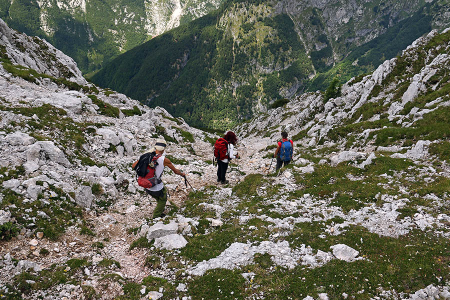 Spust
Pričetek spusta proti planini Bukovec. 
Ključne besede: vrh ruš sedlo planina bukovec