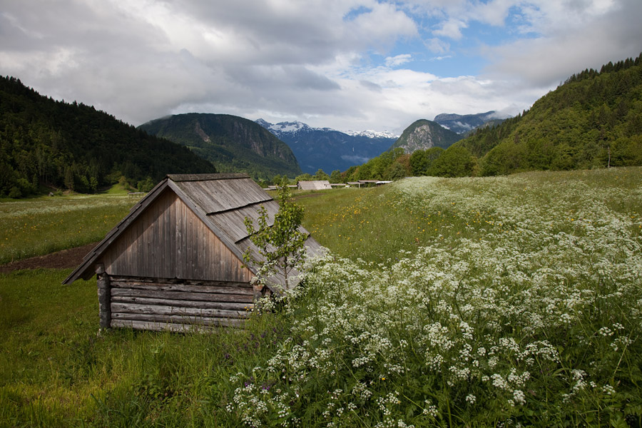 Zgornja Bohinjska dolina
Z Jereke po Zgornji Bohinjski dolini.
Ključne besede: jereka zgornja bohinjska dolina