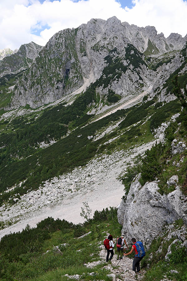 Utrinek s spusta
Spust s sedla, ki se prične tik ob Vrhu Ruš proti križišču za sedlo Kanja.
Ključne besede: sedlo vrh ruš kanja planina bukovec